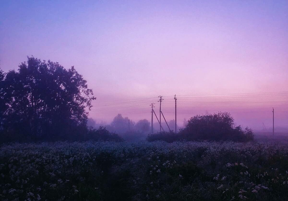 旺财28网页-【男篮世界杯前瞻D组】埃及阔别29年参赛要当黑马？